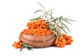 Sea buckthorn berries