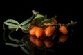 Sea buckthorn berry on black glass