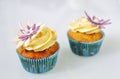 Sea buckthorn cupcakes Royalty Free Stock Photo