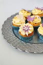 Sea buckthorn cupcakes Royalty Free Stock Photo
