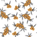 Sea buckthorn hand drawn seamless black and white pattern. Medicinal berry background. Good for cover, wallpaper, textile.