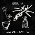 Sea buckthorn herbal tea. Chalk board set of elements