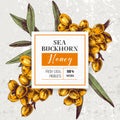 Sea buckthorn honey emblem