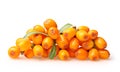 Sea buckthorn isolated Royalty Free Stock Photo