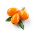 Sea buckthorn isolated on the white. With clipping path Royalty Free Stock Photo