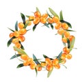 Sea buckthorn isolated on the white. Vector illustration in 3d style.