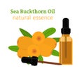 Sea buckthorn natural oil. Essential oil, cosmetics, spa, aromatherapy