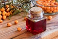 Sea buckthorn oil in a glass bottle with sea buckthorn berries i