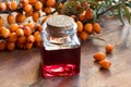 Sea buckthorn oil in a glass jar with sea buckthorn berries Royalty Free Stock Photo