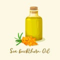 Sea buckthorn oil in glassware bottle near berries