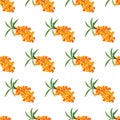 Sea buckthorn seamless pattern