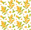 Sea buckthorn seamless pattern vector