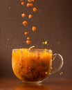 Sea buckthorn tea. Berries falling into glass cup with Orange herbal drink. Close up shot in motion on brown background