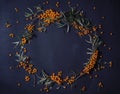 Sea buckthorn top view Royalty Free Stock Photo