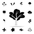 sea buckthorn tree icon. Plants icons universal set for web and mobile