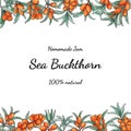 Sea buckthorn watercolor frame. isolated on white background. Template for natural cosmetic, cream, jam, juice, oil, herbal tea.