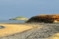 Sea-buckthorn, Yellowcraig, East Lothian, Scotland Royalty Free Stock Photo