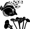 Sea butterfly fish Royalty Free Stock Photo
