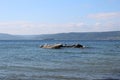 Sea and calm skies and gulls