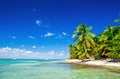 Caribbean Beach and Palm tree .Paradise. Royalty Free Stock Photo