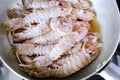 Sea cicadas, cooking in a pan. Royalty Free Stock Photo