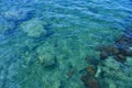 Sea Clean Blue Water Corals Bottom Background Royalty Free Stock Photo