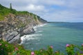 Sea cliffs at Forillon National Park Royalty Free Stock Photo