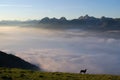 Sea of clouds in the Alps Royalty Free Stock Photo