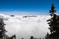 Sea of clouds and mountain ridge barely visible framed by frost covered evergreen trees, view from the trail to top of Mount San Royalty Free Stock Photo