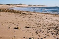 Sea coast with beach full of pebbles. Seashore with surf waves. Empty sand beach. Dramatic coastline.