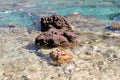 Sea coast and beach with rocks, rocky coastline, blue sea, good sunny day. Summer trip. Beautiful Greece. Most beautiful beach. Royalty Free Stock Photo