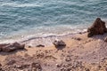 Sea coast and beach with rocks, rocky coastline, blue sea, good sunny day. Summer trip. Beautiful Greece. Most beautiful beach. Royalty Free Stock Photo