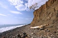 Sea coast with boulders, stones and dry tree