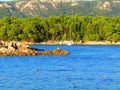 Sea and coast in Suha Punta in Rab Island Croatia Royalty Free Stock Photo