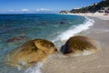 Sea coast in Tropea Italy