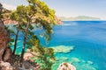 Sea coast with turquiose water and pines near Kemer, Turkey. Royalty Free Stock Photo