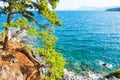 Sea coast with turquiose water and pines near Kemer, Turkey. Royalty Free Stock Photo