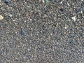Wet little pebbles on the beach