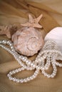 Sea cockleshells and pearls