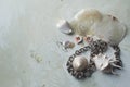 Sea collection on grey marble background. Seashell and mother-of-pearl earrings. Summer jewelry. Metal chain , mother-of Royalty Free Stock Photo