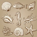 Sea collection. Original hand drawn illustration Royalty Free Stock Photo