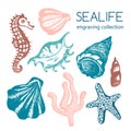 Sea collection with seashells, starfish, coral, seahorse.