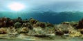 Coral reef and tropical fish underwater. Philippines. 360-Degree view. Royalty Free Stock Photo