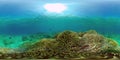 Coral reef and tropical fish underwater. Philippines. 360-Degree view. Royalty Free Stock Photo