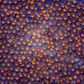 Sea coral texture