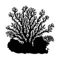 sea corals and seaweed black silhouette vector isolated