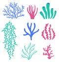 Sea corals and seaweeds. Underwater colorful plants. Undersea floral wildlife and aquarium elements. Natural algae