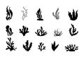 Sea corals silhouettes, seaweed, black alga and kelp. Marine grass underwater plants, aquatic weed, tropical water