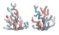 Sea corals in turquoise, gray and coral colors. Watercolor illustration, abstract, stylized. Isolated objects from a