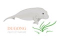 Sea cow (dugong dugong).